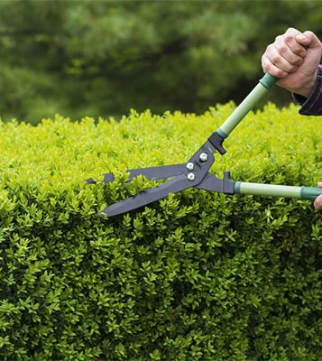 最新动态 - 问鼎娱乐下载11